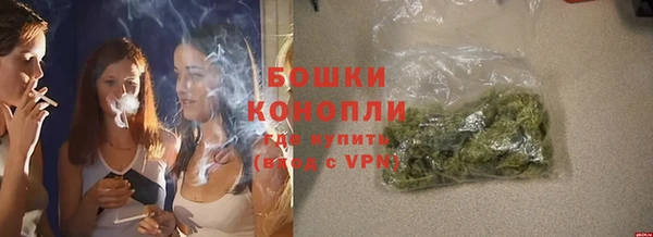 соль ск Козловка