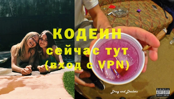 прущие крисы Кодинск