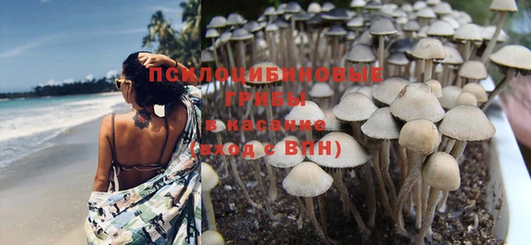 прущие крисы Кодинск