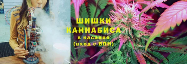 соль ск Козловка