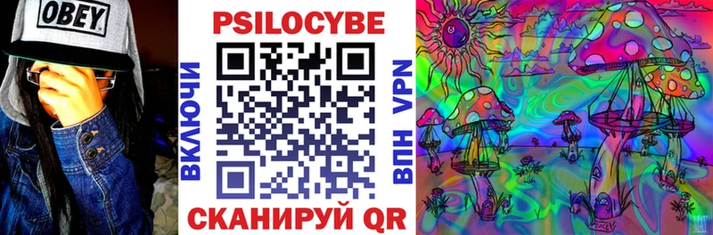 Купить  Елабуга  Галлюциногенные грибы Cubensis 