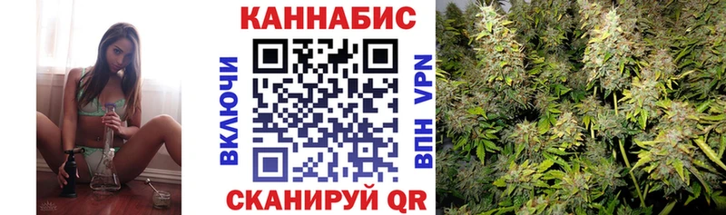 Бошки Шишки THC 21%  Купить  Елабуга 